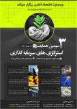 فراخوان همایش استراتژی های سرمایه گذاری سال ۱۳۹۴ - بهمن 93
