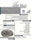 دومین سمپوزیوم ملی روز جهانی گرافیک (نمایه شده در ISC)